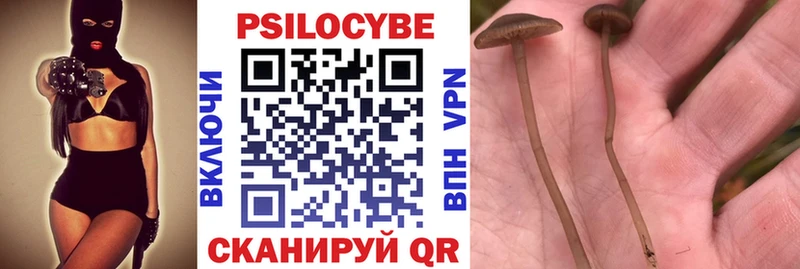 Галлюциногенные грибы Magic Shrooms  Нововоронеж 