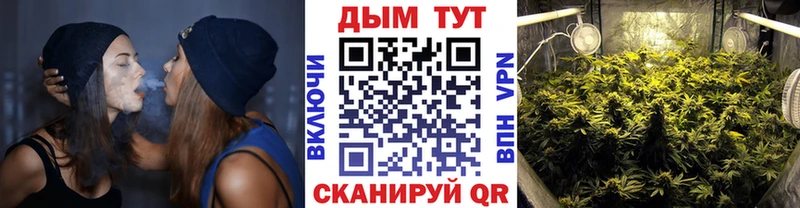 Конопля OG Kush  МЕГА маркетплейс  Нововоронеж  наркошоп 